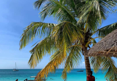 4-Day Zanzibar Vacation Safari