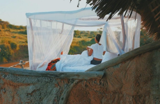 10 Days Kenya Wildlife Explorer
