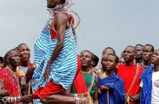 The Great Migration Safari