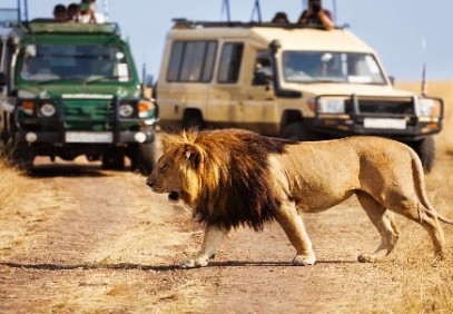 4-Day Manyara & Serengeti Safari