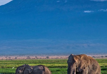 1-Day Safari To Amboseli National Park