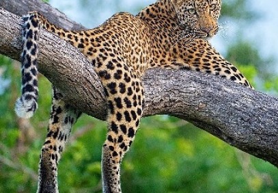 5-Day Ngorongoro Highlands to Lake Natron Trekking Safari