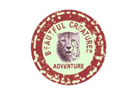 Beautiful Creatures Adventure