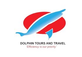 Dolphin Tours and Travel