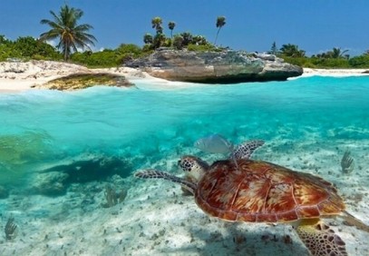 5-Day Zanzibar Beaches