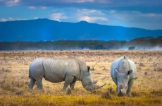 4-Day Kenya Classic Safari