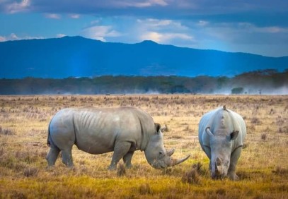 4-Day Kenya Classic Safari