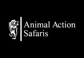 Animal Action Safari