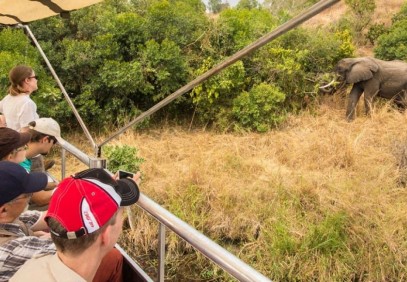 5-Day Kibale and Queen Elizabeth National Park Safari