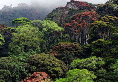 6-Day Multi-Day Usambara Mountain Hiking