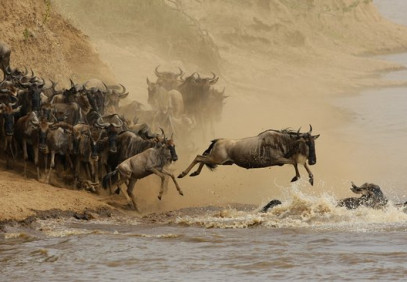 6 Days Serengeti Great Wildebeest Migration Safari
