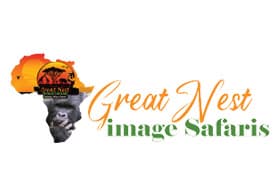 Great Nest Image Safaris