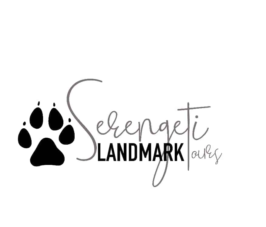 Serengeti Landmark Tours