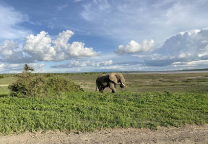 2-Day Tanzania Wildlife Safari
