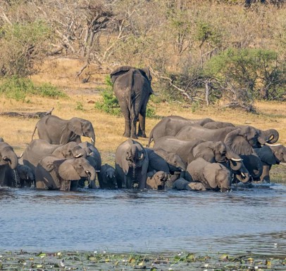 Mana Pools National Park