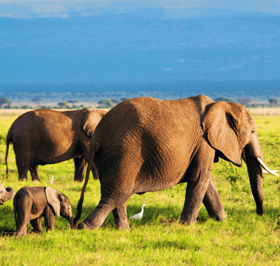 Mangetti National Park