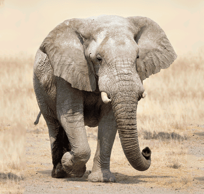 Mudumu National Park