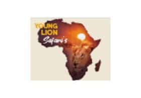 Young Lion Safaris