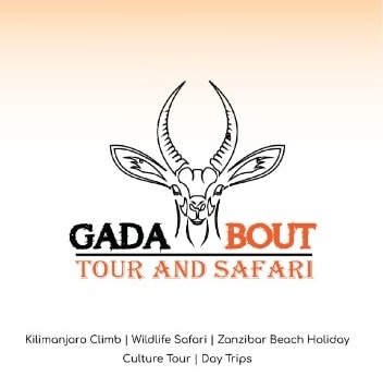 Gadabout Tours & Safaris