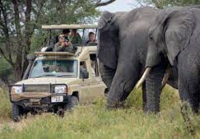 3 Days Northern Circuit Tanzania Safari