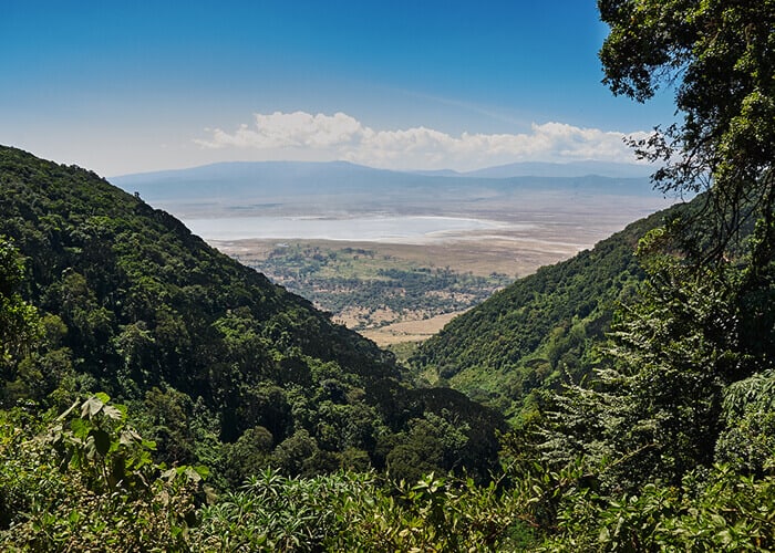 Great Rift Valley formed 20 million years ago