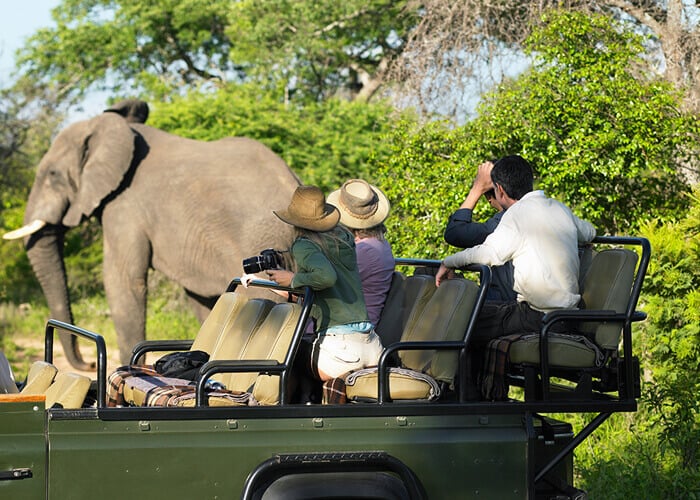 Kenya has been the world’s leading safari destination since 2015