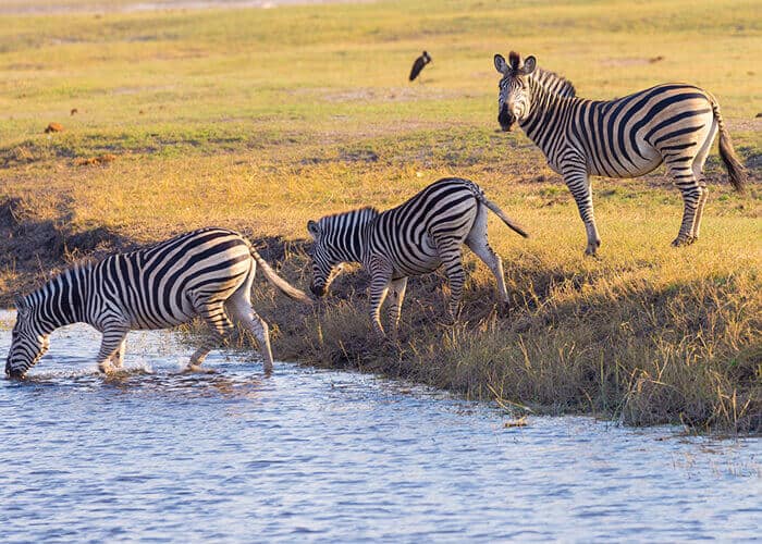 Lake Turkana - the world’s largest permanent desert lake