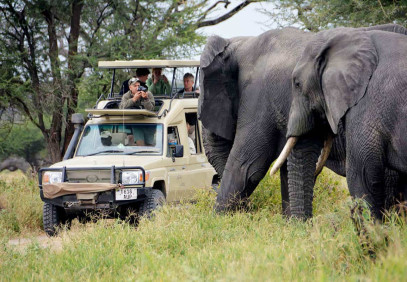 8-Day Tanzania Wildlife Haven Safari