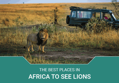 The Best Places in Africa to See Lions
