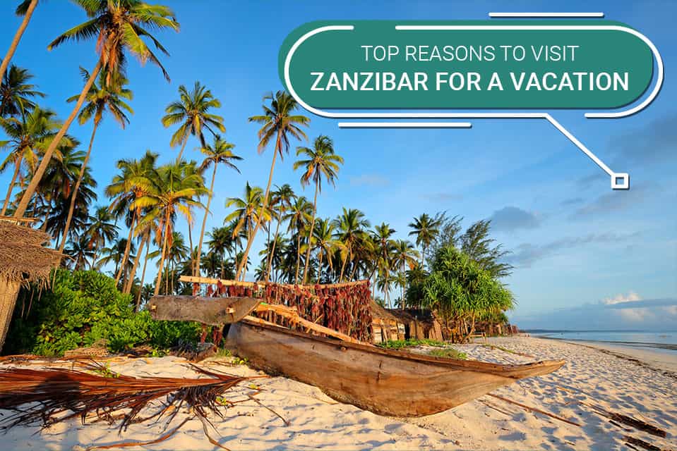 Top Reasons to Visit Zanzibar for a Vacation
