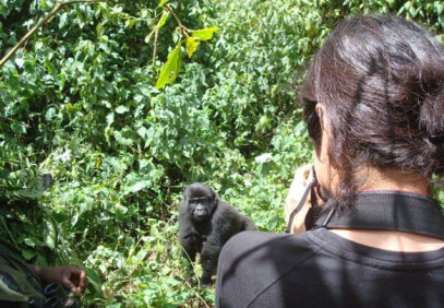 3 Days Uganda Gorilla Safari From Rwanda