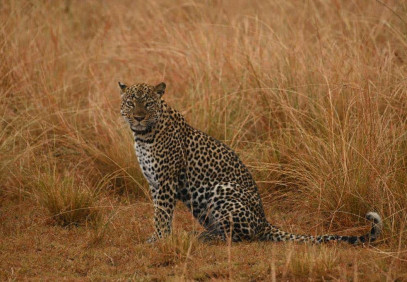 9 Days Ultimate Western Uganda Safari