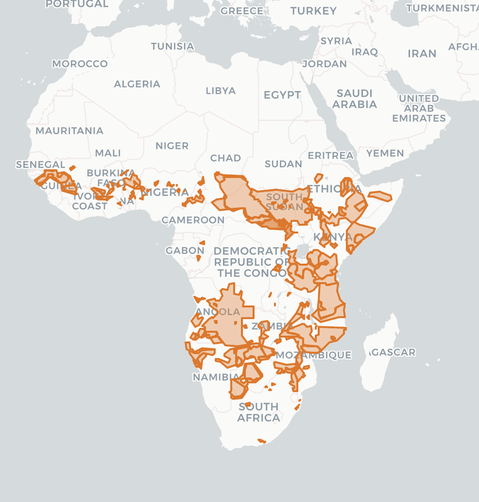 20th October 2022 Awf Map