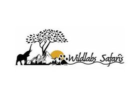Wildlabs Safaris