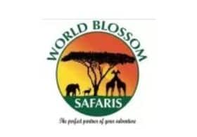 World Blossom Safaris