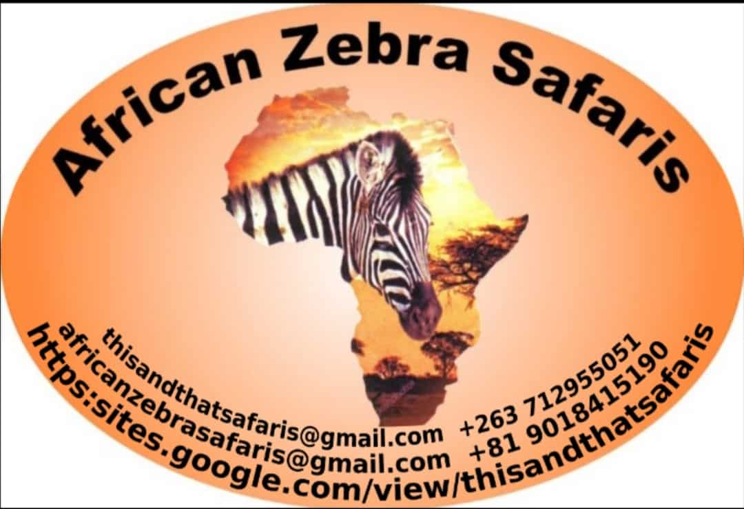 ThisAndThat Safaris