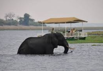 1-Day Chobe National Park Safari
