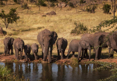 6-Day Tanzania Wildlife Safari