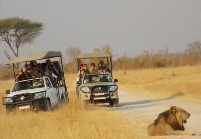 1-Day Hwange National Park Safari