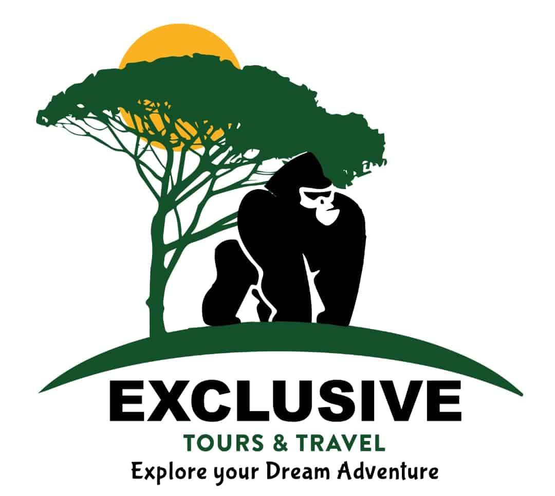 Exclusive Tours and Travel