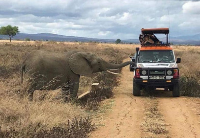 3-Day Wonderful Mikumi National Park