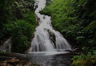 5-Day Wildlife & Primate Safari