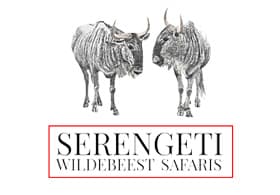 Serengeti Wildebeest Safaris