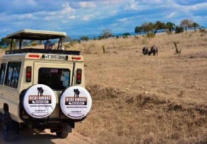 6 Days Tanzania Safari to Serengeti, Tarangire, Ngorongoro and Lake Manyara