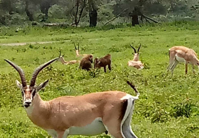 6-Day Tanzania Experience Safari