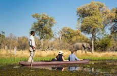 10 Days Luxury Okavango Delta Safari