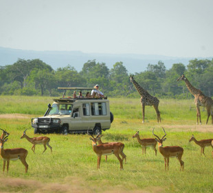 1-Day Mikumi Day Trip from Zanzibar