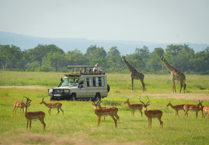 1-Day Mikumi Day Trip from Zanzibar