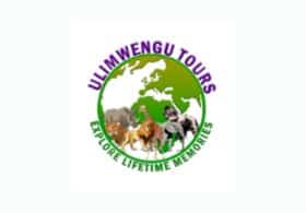 Ulimwengu Tours