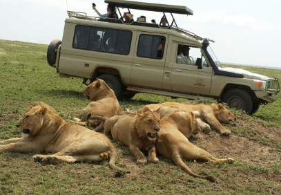 4-Day Manyara, Serengeti & Ngorongoro Luxury Safari